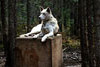 piontek_3_15_11