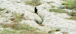 marion_belanger_7_15_11