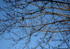 05012012_Calen_377
