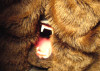 05152012_bearsuit