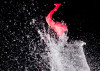 flying.fish.goodney.8.1