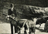 Carl_Hagenbeck_575px_9.15