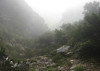 summer.ravine.9.15