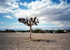 saltonsea12