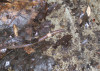 11152012_WORMpoetry_377