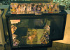 11152012_fiction_377
