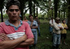 Guernica-Honduras-commons