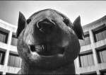 Ai_wei_wei_575px