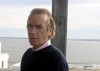 Amis author photo