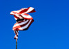 screwy-flag_th