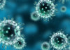 virus