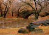 centralpark