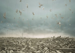 Symphony_Video_Still