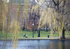 boston