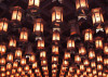 Lantern_575px