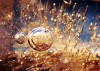 ice-bubble2