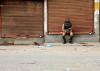 kashmir small