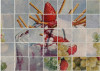 377_Gerace