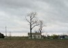 Feature_Alec_Soth_NYC39690