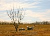 Feature_Southern_Pastoral_Flickr_Rich_Anderson