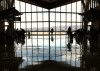 Into the Airport Light