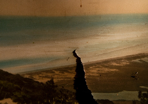 Plageman-Feature