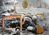 flaneur1