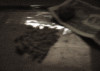 2713774889_7602cd3576