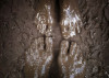 vandenberg-575
