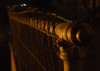 trace377x267
