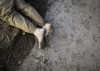 Military Transition Teams (MiTT) are of increasing importance in Iraq;