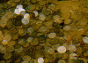 moneyfiction_575