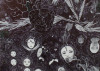 030112_barkat_page