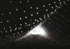 04012012_dragon377