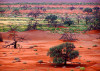 Image from Flickr via geoftheref