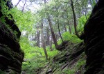 wisconsin