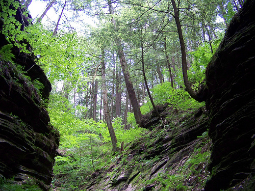 https://www.guernicamag.com/wp-content/uploads/2012/05/wisconsin.jpeg