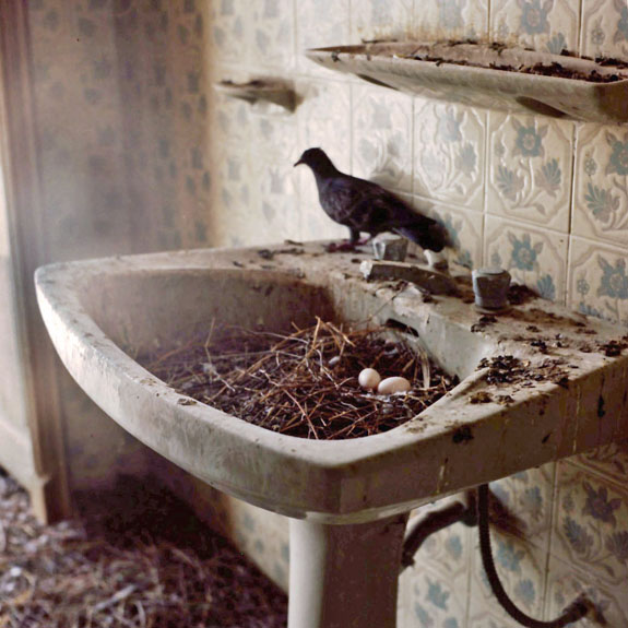 https://www.guernicamag.com/wp-content/uploads/2012/07/PalaceBook11.jpg