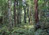 Robertson Nature Reserve