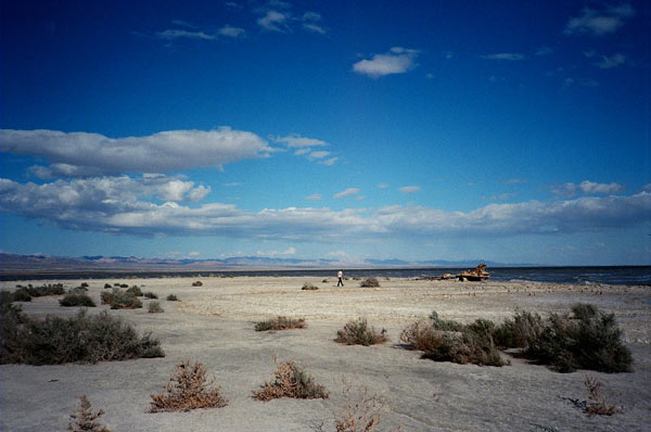 https://www.guernicamag.com/wp-content/uploads/2012/10/saltonsea221.jpg