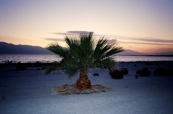 https://www.guernicamag.com/wp-content/uploads/2012/10/saltonsea31.jpg