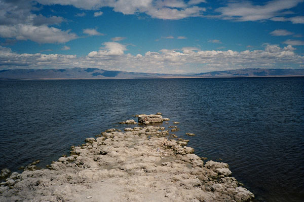 https://www.guernicamag.com/wp-content/uploads/2012/10/saltonsea61.jpg