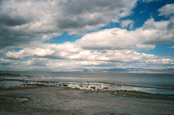 https://www.guernicamag.com/wp-content/uploads/2012/10/saltonsea71.jpg