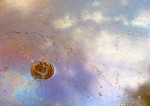 4726904264_96048cce1c