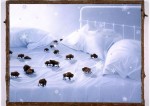 lullaby