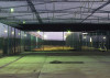 Camps: Exercise Cage, Camp Delta