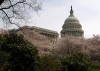 capitol