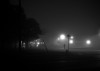 8243636226_2c0236acf2_z