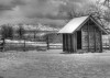 Barn_June_1st