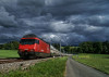 switzerland 4
